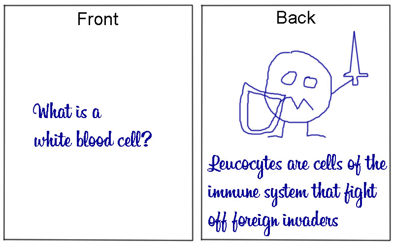A flashcard on white blood cells has a cartoonish image of a cell holding a sword.